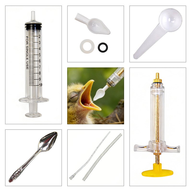 Precise Baby Bird Feeder Profe - Baby Food Youtube ulasan dan harga